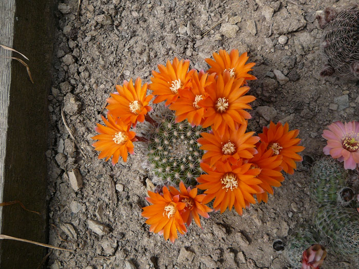 01.jpg